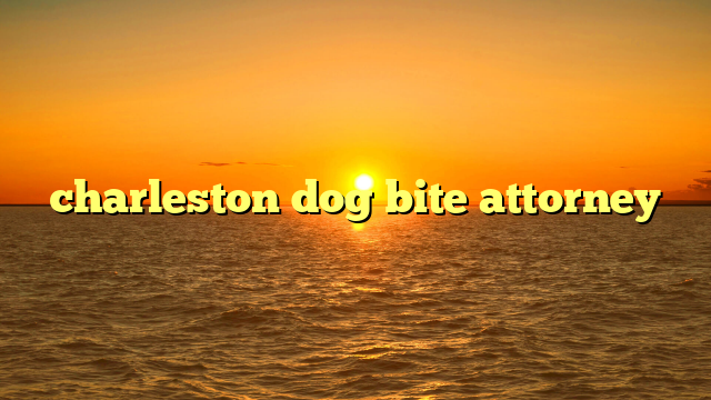 charleston dog bite attorney