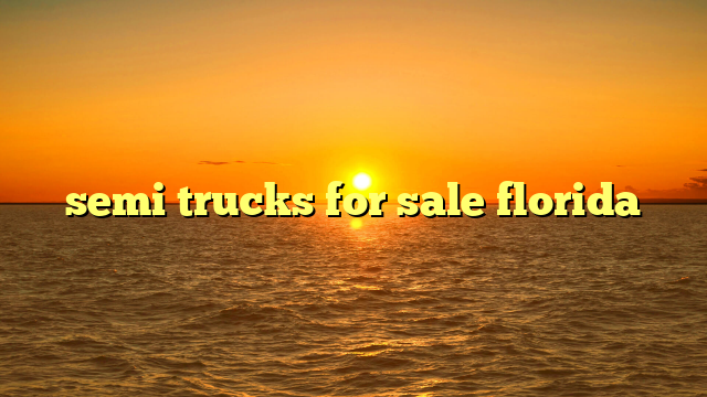 semi trucks for sale florida